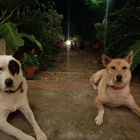 Villa Albizia, Chiang Mai Doi Saket 외부 사진